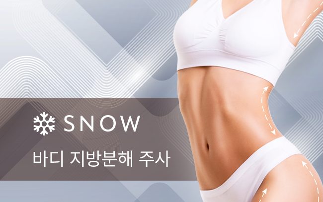 바디 지방분해 주사
